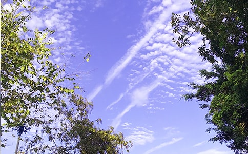 ���䶯�˵��簲QQ�ʺ���21��