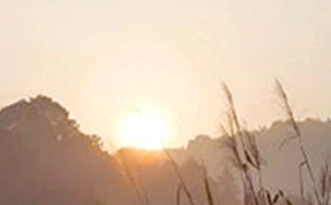 ���Ƽ���2025����ܰ���簲΢���ʺ������51��