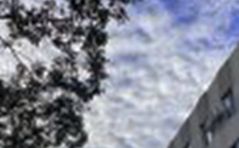 2025���̵��������簲�ʺ���ժ¼35��