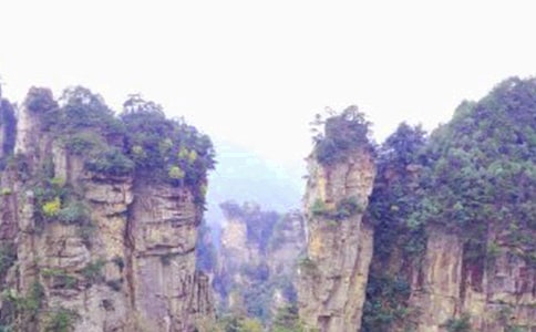 �����˵��żҽ硷��ѧ��˼��ͨ��3ƪ��