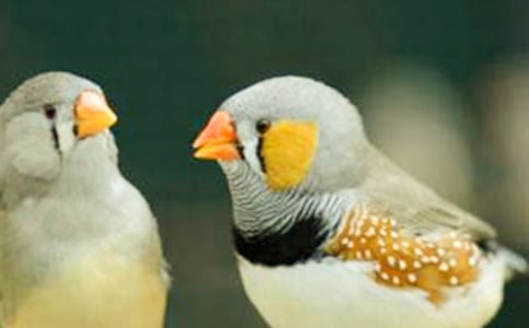 �������񡷽�ѧ���15ƪ