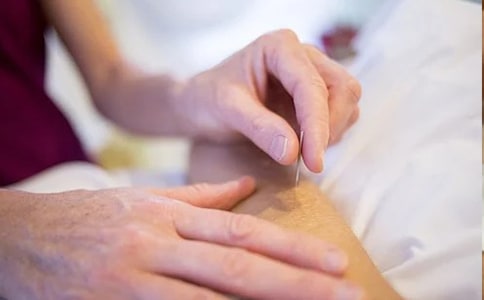 ��ĸ����ܽ�