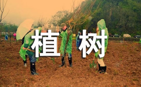 五年级教学设计《植树问题》