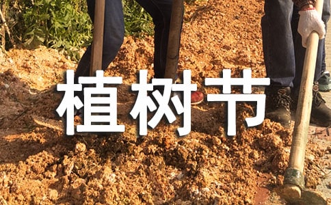 2025ֲ���ڻ�߻�����