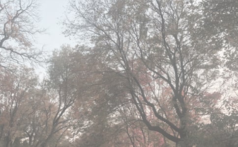 植物园观后感15篇