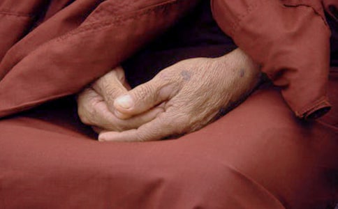 �����꼶�鹤���ܽ�