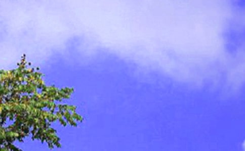 �й�������ʺ���