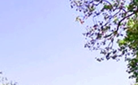 ������ʺ���