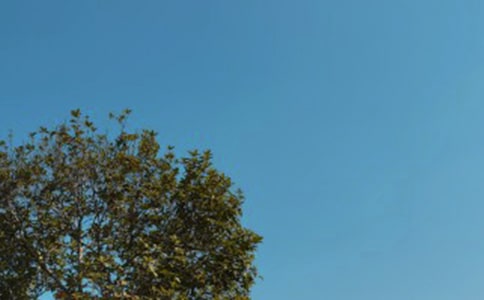 �������ܰ�ʺ���