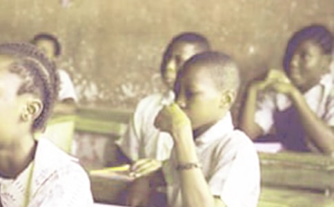 ��ѧ��ѧ�������