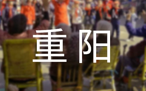 ����������ܽ�