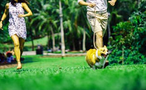 周末问候语(集合)