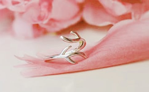 Ī��ɣ�鱦�����