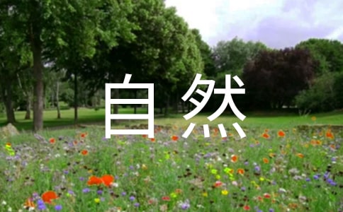 ��������Ȼ���ۺ��