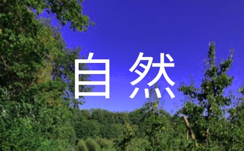 读《自然的暗示仿生学》有感