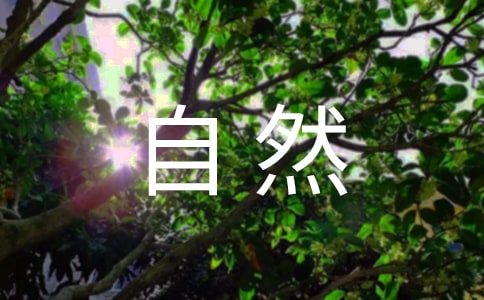 ����Ȼ�����Խ̰�����5ƪ