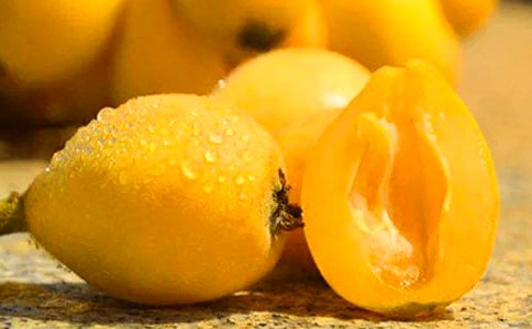 ������ֲ�չ���ͬ(����4ƪ)