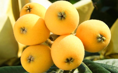 ������ֲ�չ���ͬͨ��4ƪ