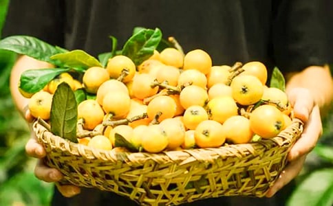 ������ֲ�չ���ͬ