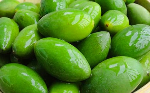 ��Ӫ��ֲ��魺�ͬ��