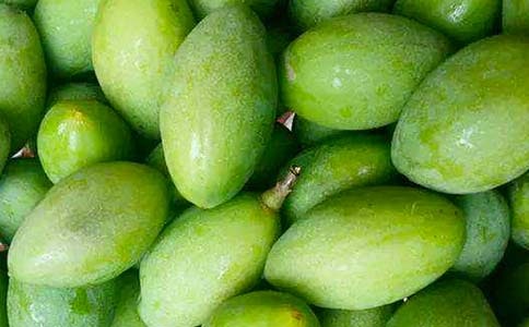 ��ɫ����������