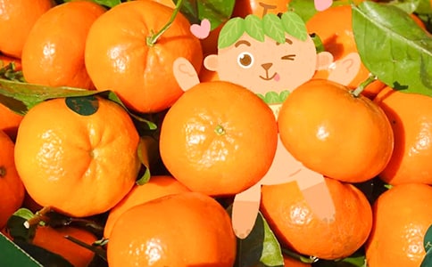 �а��ѧ����̰������ӡ�