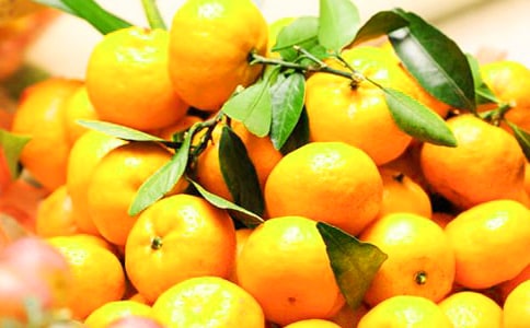 “买橘子的故事”读后感