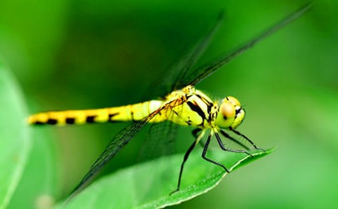 �������ۡ������