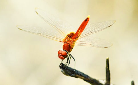 �������ۡ�����У���ѡ11ƪ��