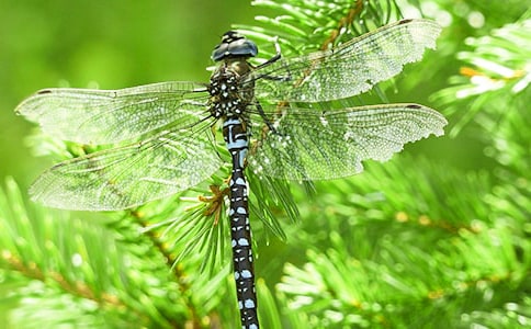 �������ۡ������