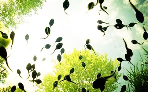 С���������̰�����ѡ��