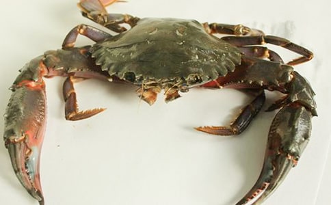 中班科学奇怪的螃蟹教案(通用12篇)