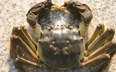 ���з�衷�̰�