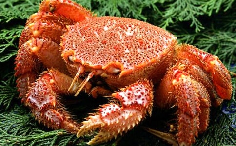 ��С�з��С��̰�