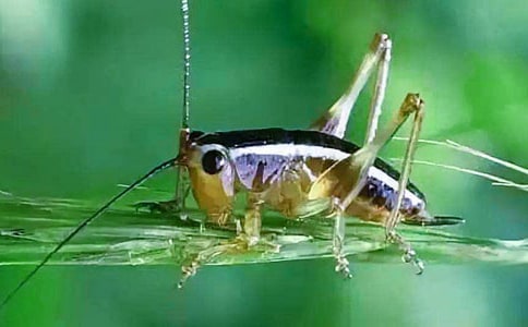 �����סլ����ѧ��˼