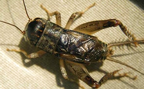 ���סլ��ѧ���15ƪ