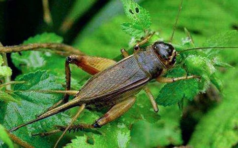 ���סլ��ѧ��˼��ѡ15ƪ