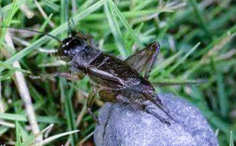 ���סլ��ѧ��˼(15ƪ)