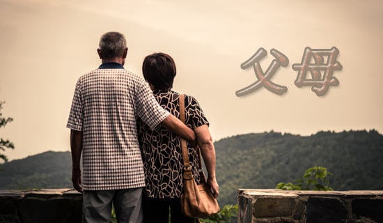 ��ĸ������ɫ�ĵ��������