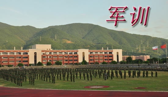 ѧ����ѵ�����ܽ�[��ѡ]