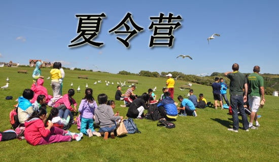 ��������Ӫ��ʦ�Ƽ���8ƪ