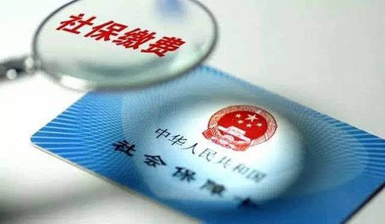 �籣��ѯ������14ƪ