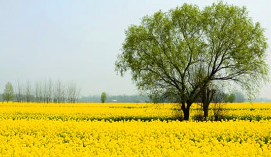 �а����̰�����ֻС��ȥ���Ρ�